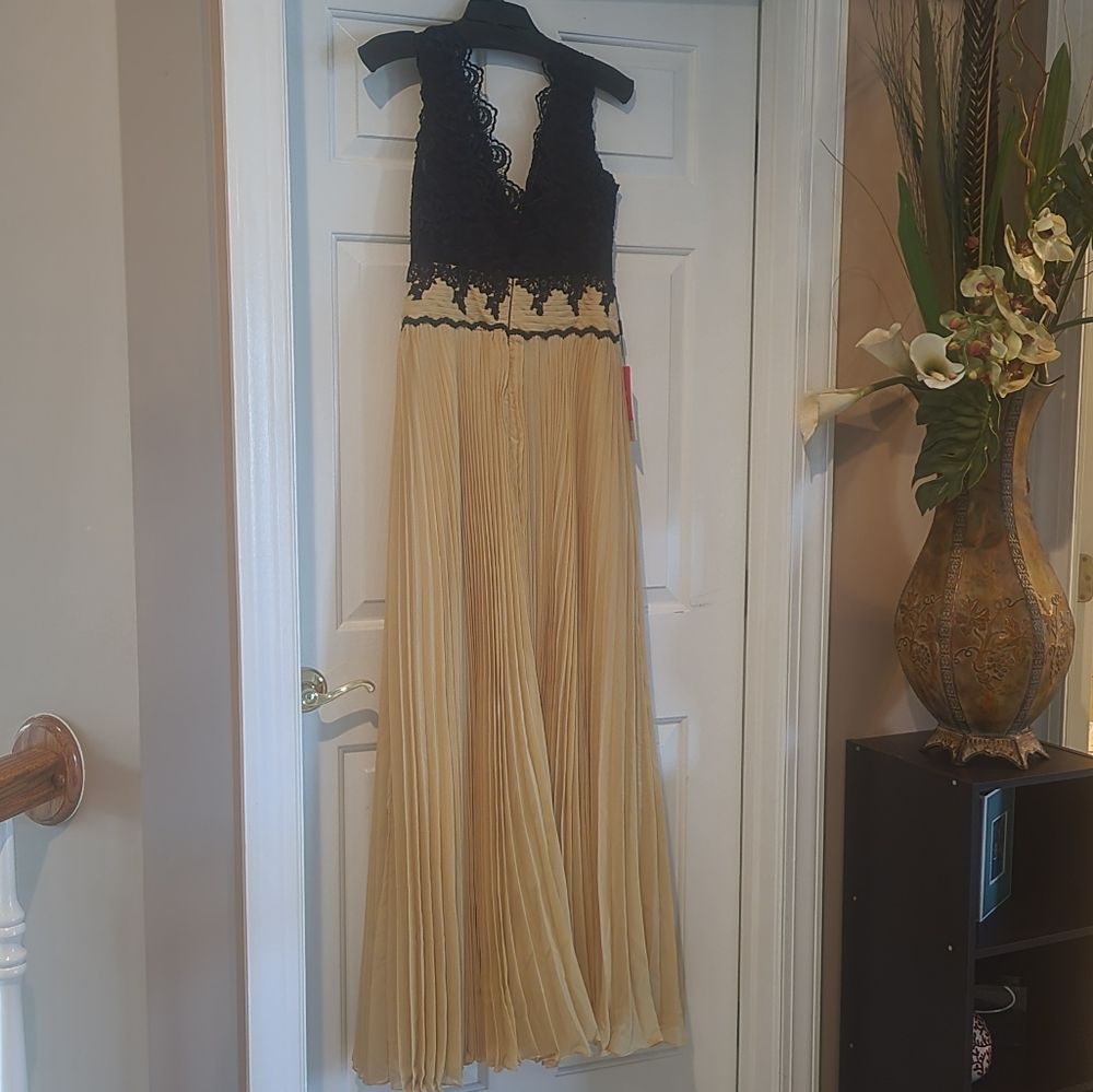 Gown Gold And Black Lace